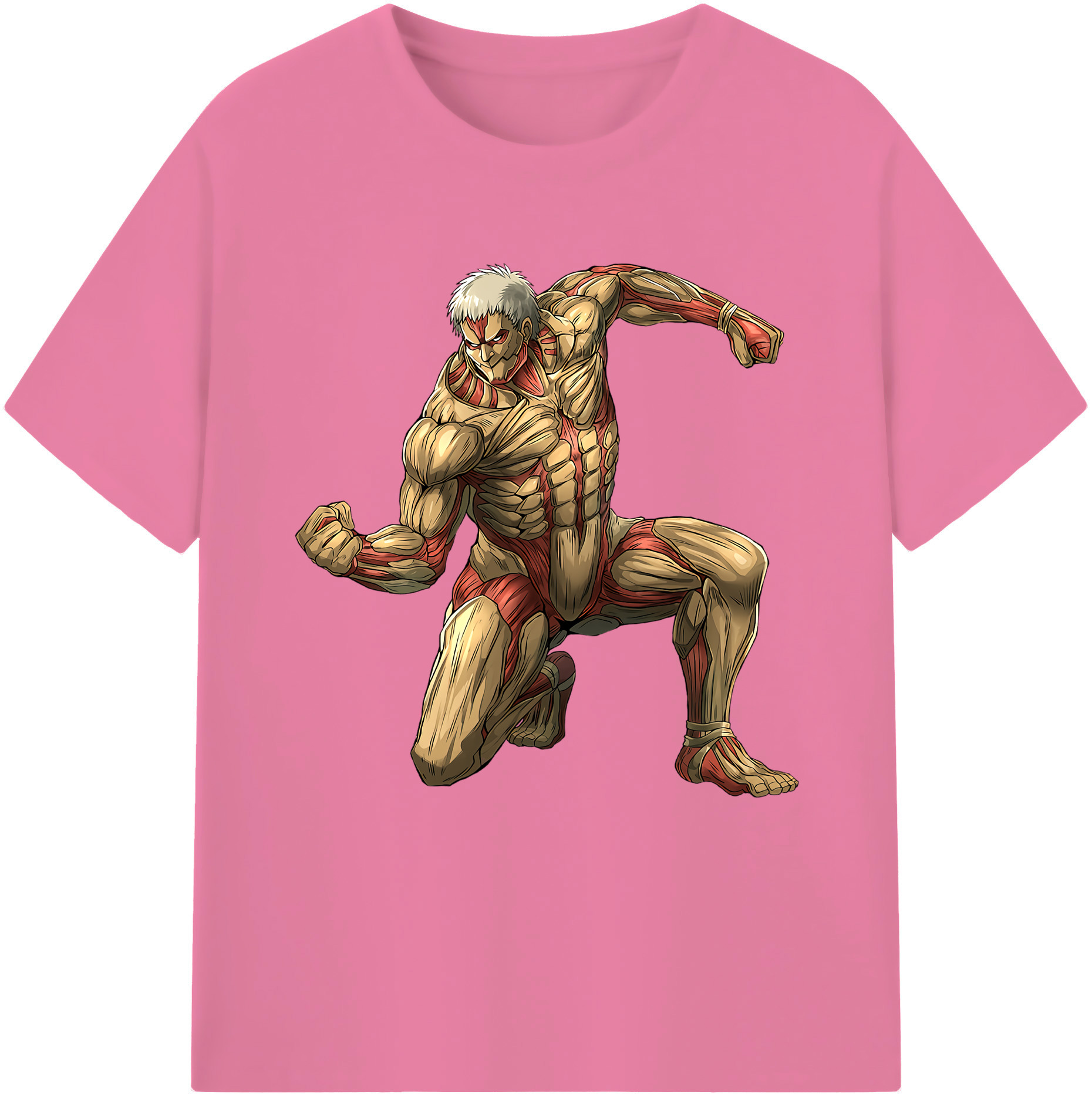 （画像用） 進撃の巨人 Attack on Titan 綿100％半袖Tシャツ（フロントプリント）
